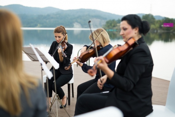 Gudački kvartet Allegro