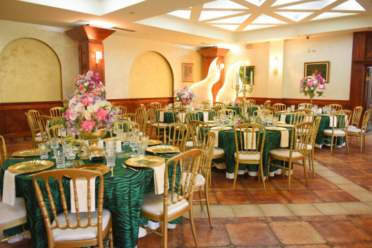 HOTEL I RESTORAN  BALASEVIC — fotografija 45