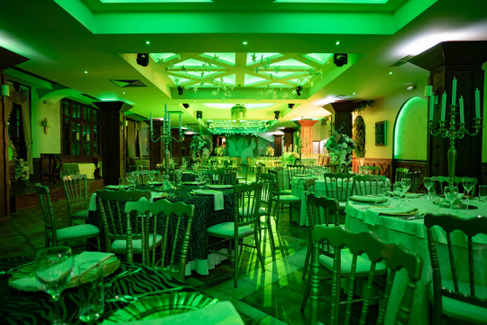 HOTEL I RESTORAN  BALASEVIC — fotografija 28