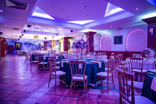 HOTEL I RESTORAN  BALASEVIC — fotografija 26