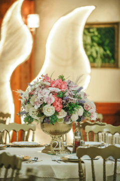 HOTEL I RESTORAN  BALASEVIC — fotografija 25