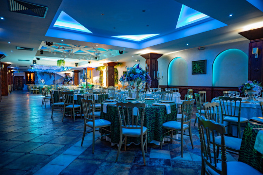 HOTEL I RESTORAN  BALASEVIC — fotografija 24