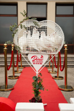 Dinic Event Planer — fotografija 58
