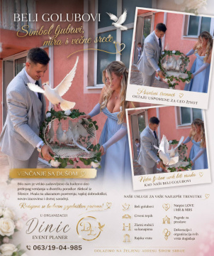 Iznajmljivanje belih golubova za venčanja — fotografija 3