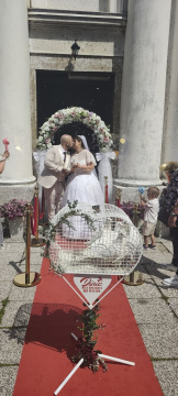 Iznajmljivanje belih golubova za venčanja — fotografija 4