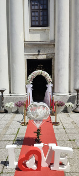 Iznajmljivanje belih golubova za venčanja — fotografija 5