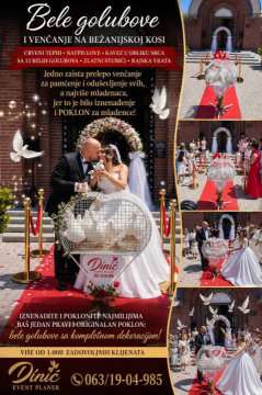 Iznajmljivanje belih golubova za venčanja — fotografija 1