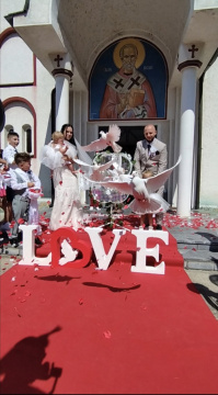 Iznajmljivanje belih golubova za venčanja — fotografija 18