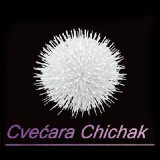 Cvećara CHICHAK