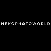 nekophotoworld
