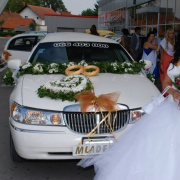 DAS Limo