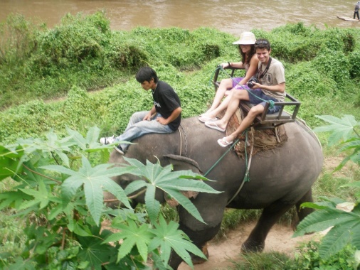 Jahanje slonova na Tajlandu