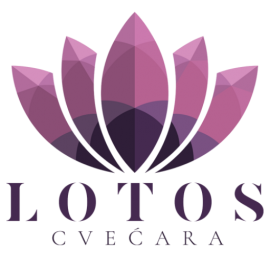 Cvećara Lotos